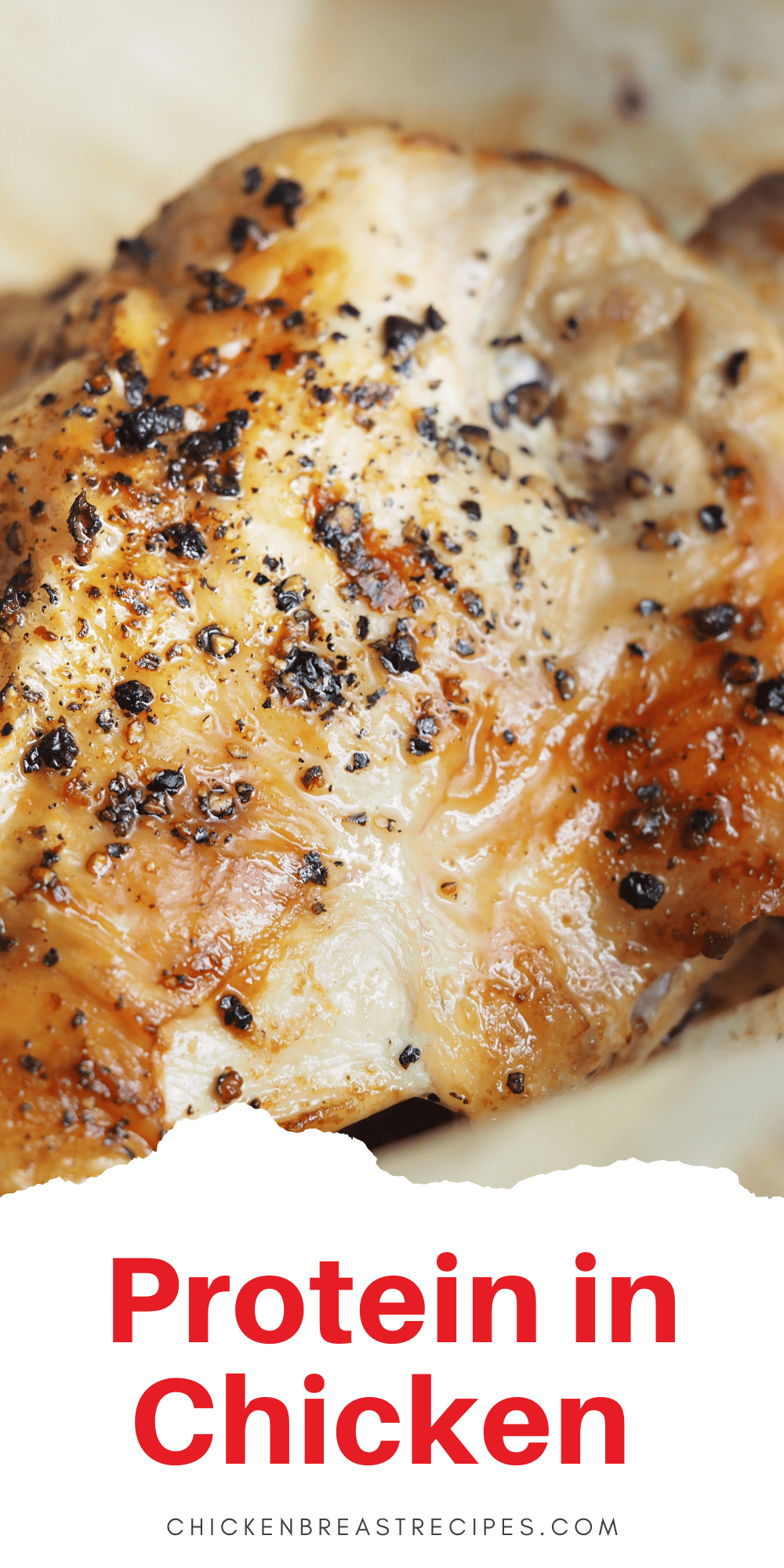 cooked chicken with seasoning